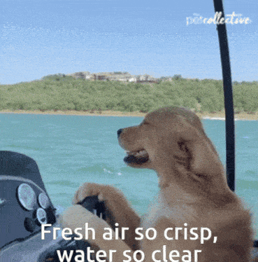 Fresh Air So Crisp Water So Clear Gif GIF
