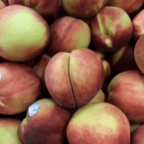 Fresh Peach Fruit Close Up Shot GIF