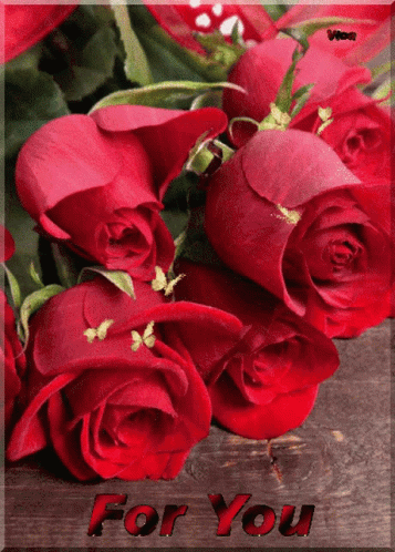 Fresh Red Roses For You GIF