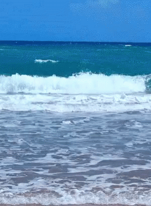 Fresh View Of Blue Wave GIF
