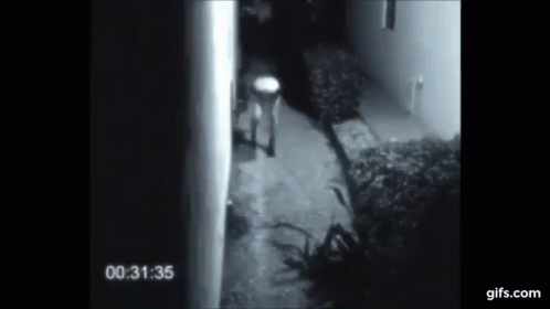 Fresno Nightcrawler Creeping In The Dark GIF
