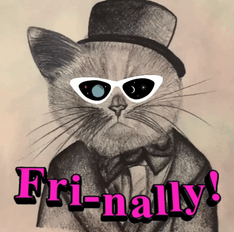 Fri-nally Friday Funny Cat GIF