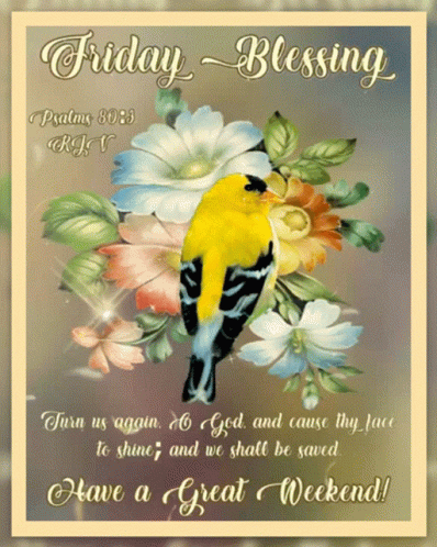 Friday Blessing Bird And Flowers GIF