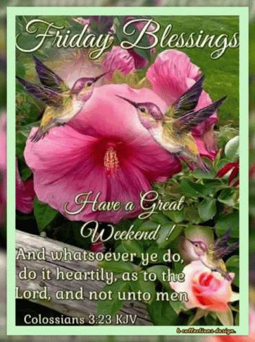 Friday Blessings Card Two Hummingbirds Flower GIF