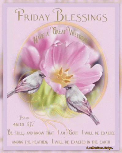 Friday Blessings Card With Pink Flower and Birds