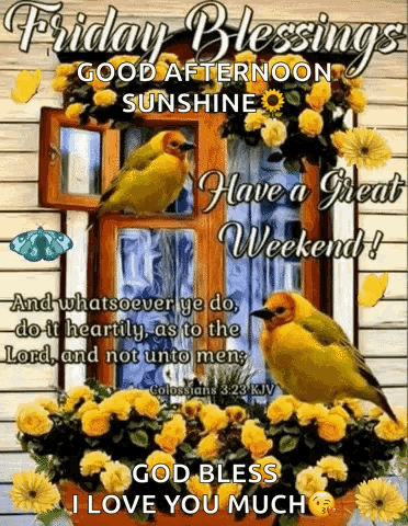 Friday Blessings Good Afternoon Sunshine