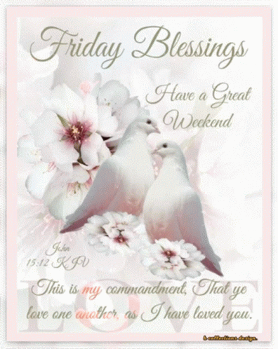Friday Blessings Have A Great Weekend Two Doves GIF