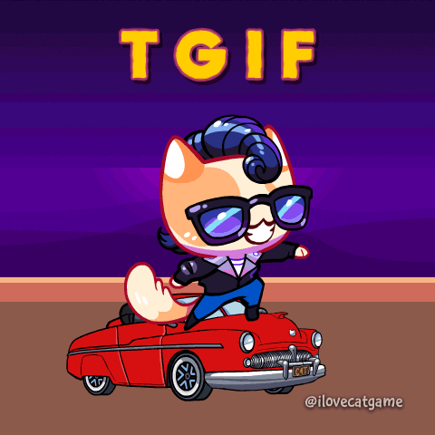 Friday Cat Catgame Riding A Car GIF