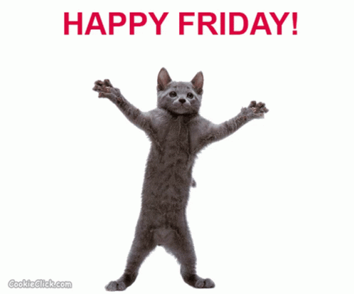 Friday Cat Gray Dance GIF