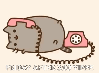 Friday Cat Pusheen In A Call GIF