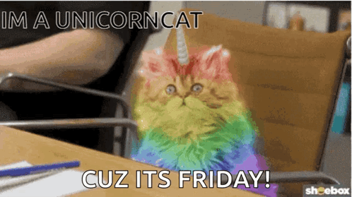 Friday Cat Rainbow GIF