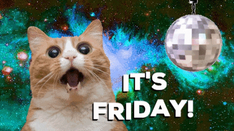 Friday Cat Shocked With Disco Ball GIF