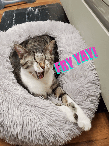 Friday Cat Smiling Friyay GIF