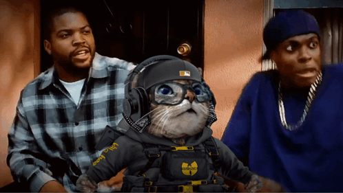 Friday Damn Dj Kitty Meme GIF