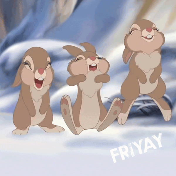 Friday Fri Yay Funny Thumper Jumping GIF