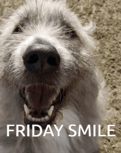 Friday Funny Smile GIF