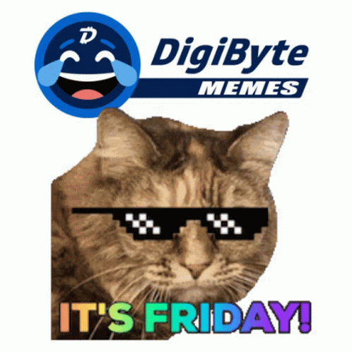 Its Cute Cat Friday Meme GIF