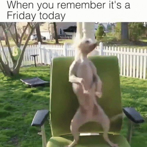 Its Friday Meme Today GIF