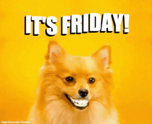Friday Vibes Smiling Dog GIF