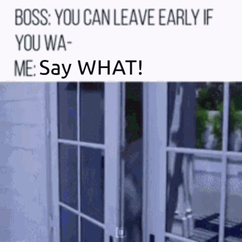 Friday Work Say What GIF