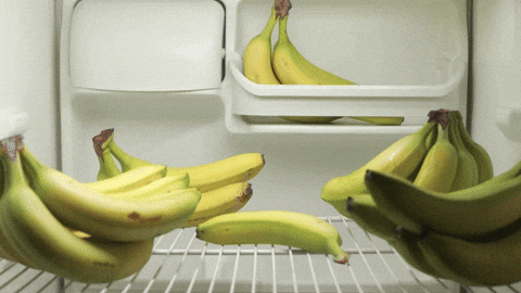 Fridge Opening Banana Cat Meme GIF
