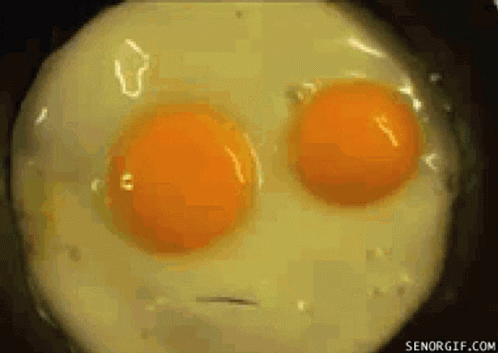 Fried Egg Close Up Senorgif