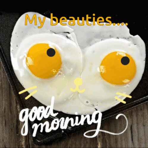 Fried Eggs In The Shape Of A Cat With The Words My Beauties Good Morning GIF