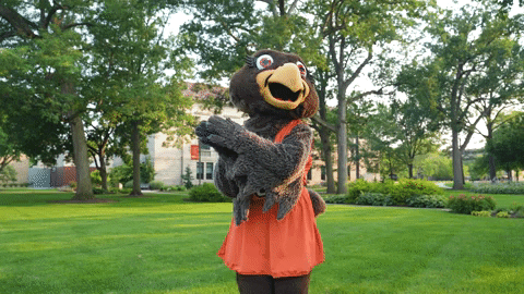 Frieda The Falcon Cute Dance GIF