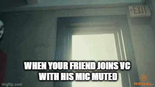 Friend Joins VC With Mic Muted Sign