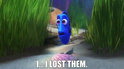 Friend Of Nemo Dory Lost Them GIF