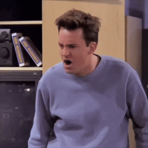 Friends Friends Tv GIF