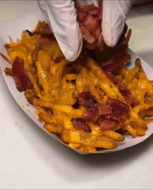 Fries Bacon Cheese Fries Gif GIF