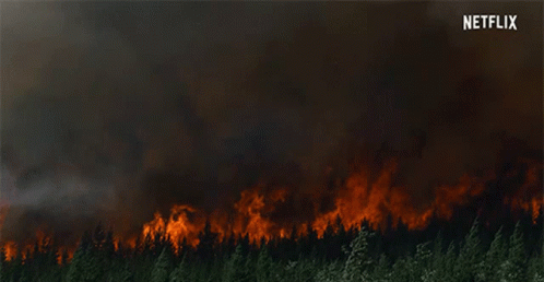 Frightening Wildfire Burning Inferno GIF