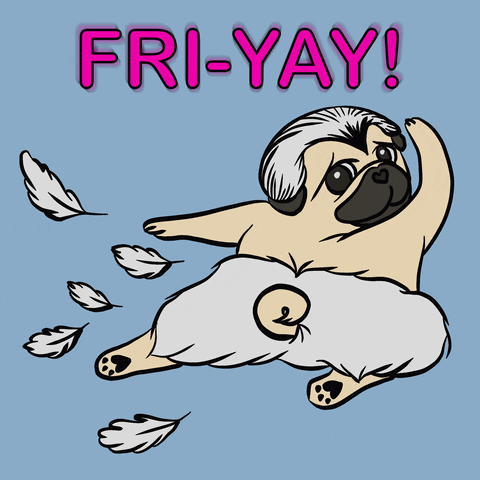 Friyay Fly Day Dog Ballet Dance Feathers GIF