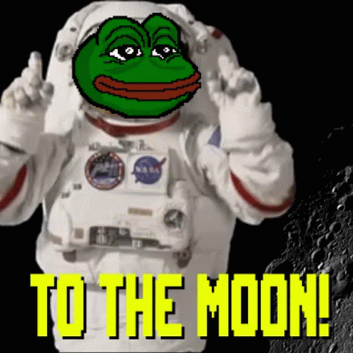 Frog Astronaut GIF