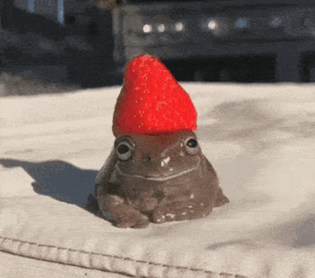 Frog Cute Gif GIF