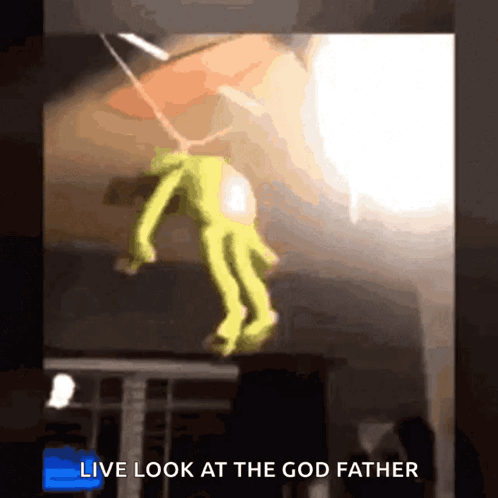 Frog Hanging From Ceiling Live Look At Godfather GIF
