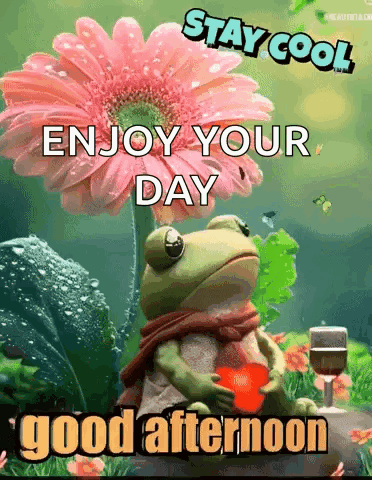 Frog Holding Heart With Stay Cool Enjoy Your Day