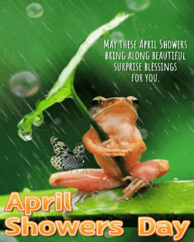 Frog Holding Leaf April Showers Card GIF