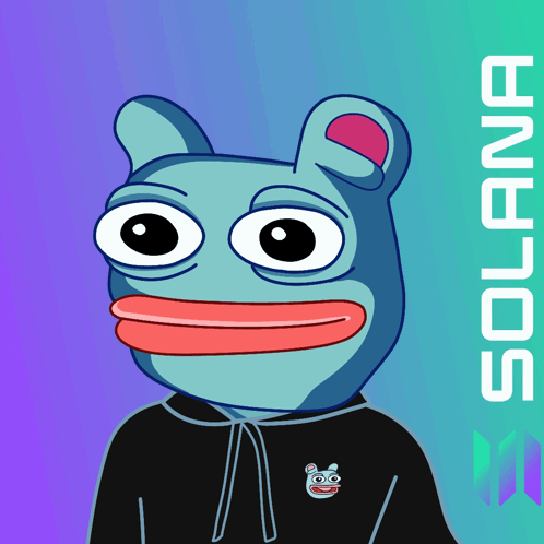 Frog in Black Hoodie with Solana
