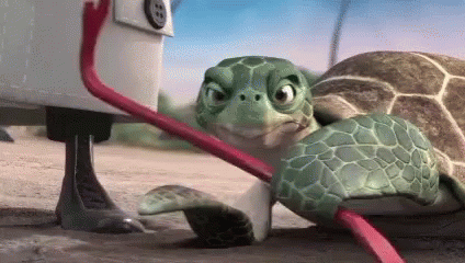 Frog In $ Bon Shirt Holding Money GIF