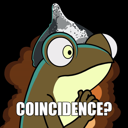 Frog In Party Hat Saying Coincidence GIF