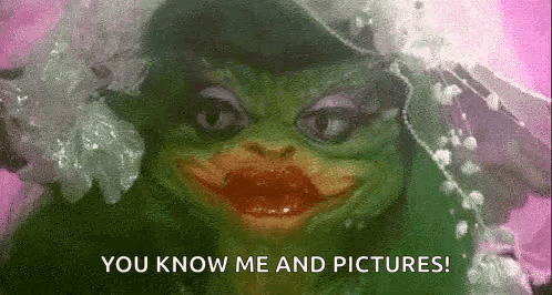 Frog in Wedding Dress and Veil