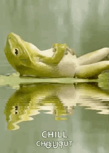 Frog Laying on Back in Water Saying Chill Chill Out
