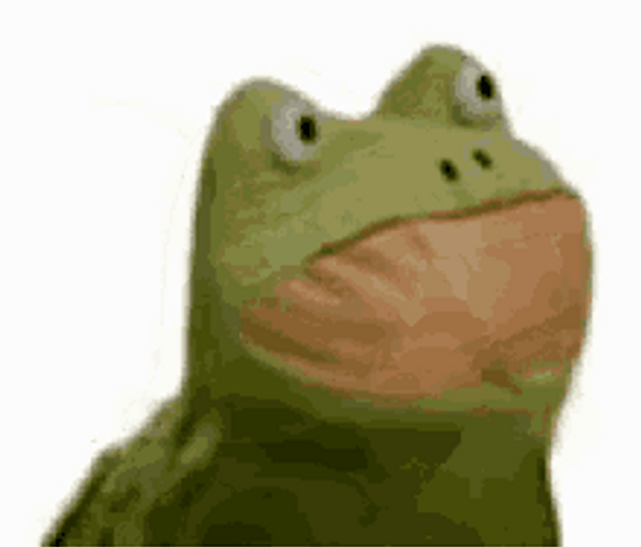 Frog Meme Funny Awkward Sway Dance GIF