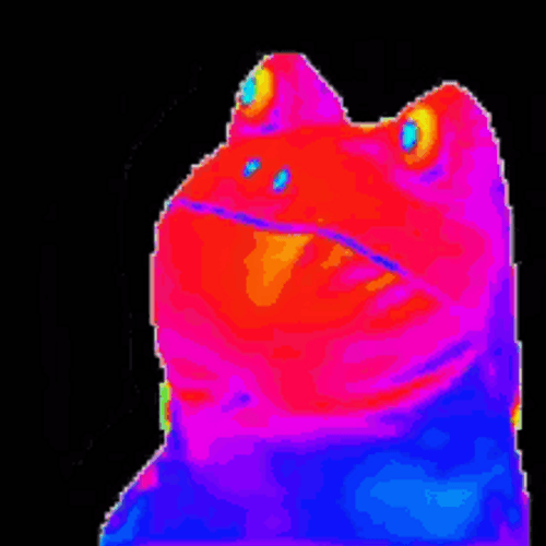Frog Meme Rainbow Skin Dance GIF