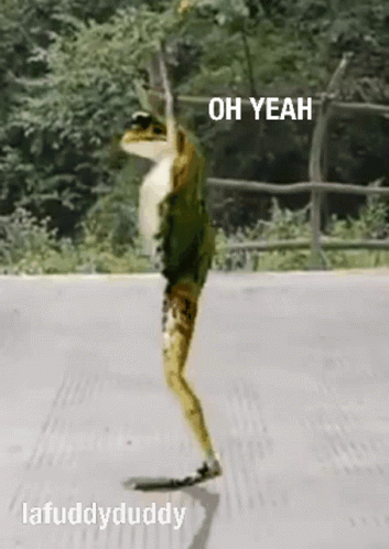 Frog on Hind Legs Saying Oh Yeah on Street