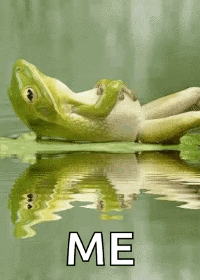 Frog On Leaf Saying Me GIF
