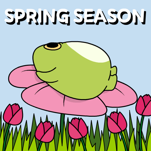 Frog on Pink Flower Saying Spring Season
