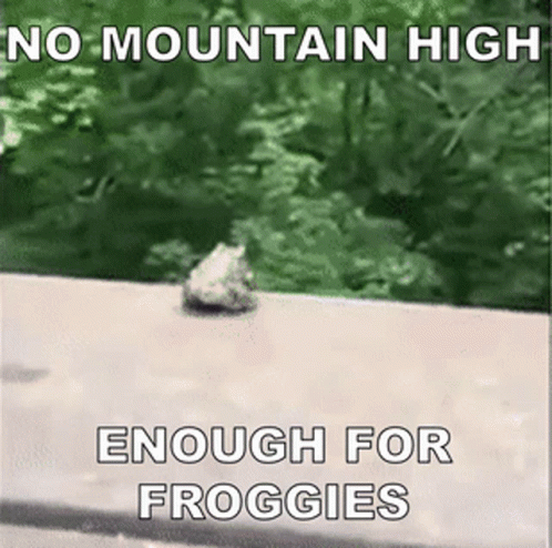 Frog on Sidewalk No Mountain High Enough for Froggies